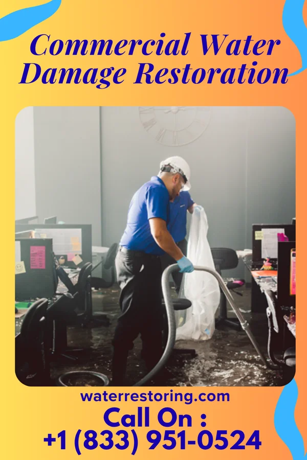 Commercial Water Damage Restoration in Cochituate, MA