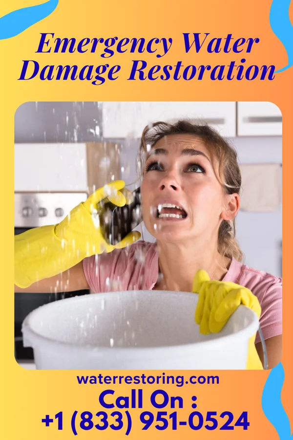 Emergency Water Damage Restoration in Cochituate, MA