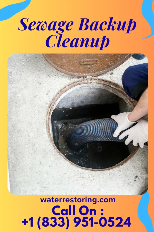 Sewage Backup Cleanup in Cochituate, MA