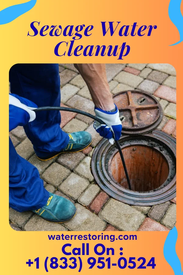 Sewage Water Cleanup in Cochituate, MA
